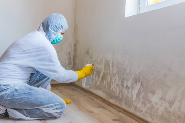 Commercial Mold Remediation assessment for commercial property in Highland Park