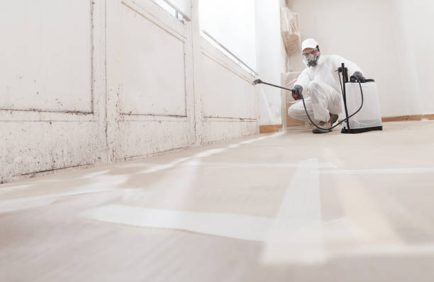 Black mold remediation team in Highland Park